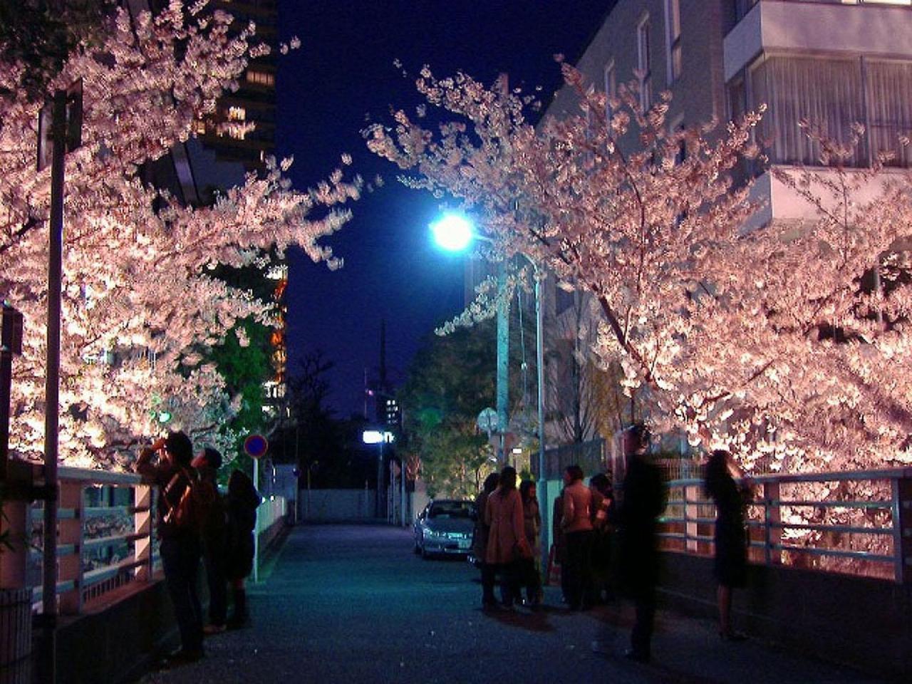 田園調布南ビル Apartment *