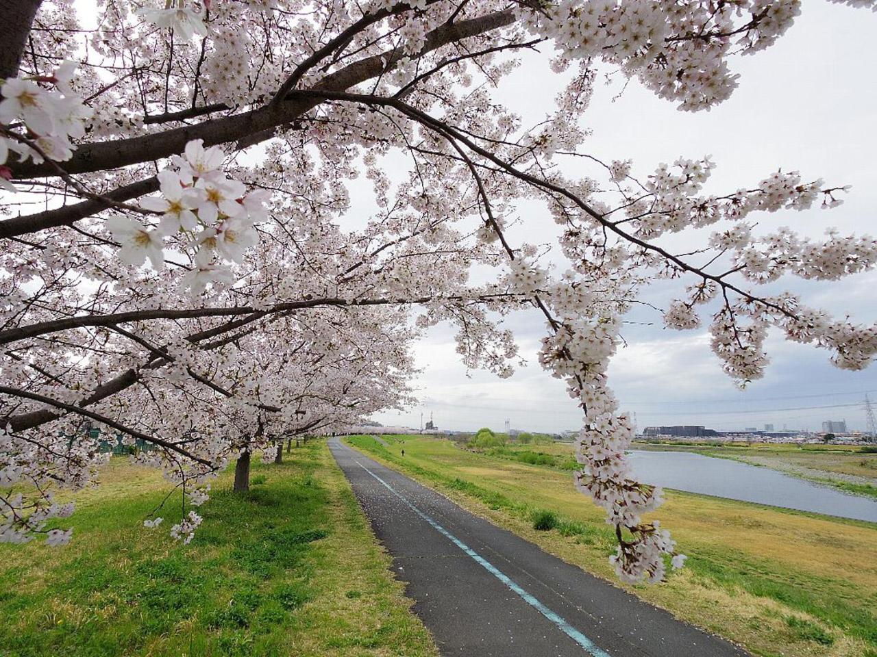 田園調布南ビル * Tokio