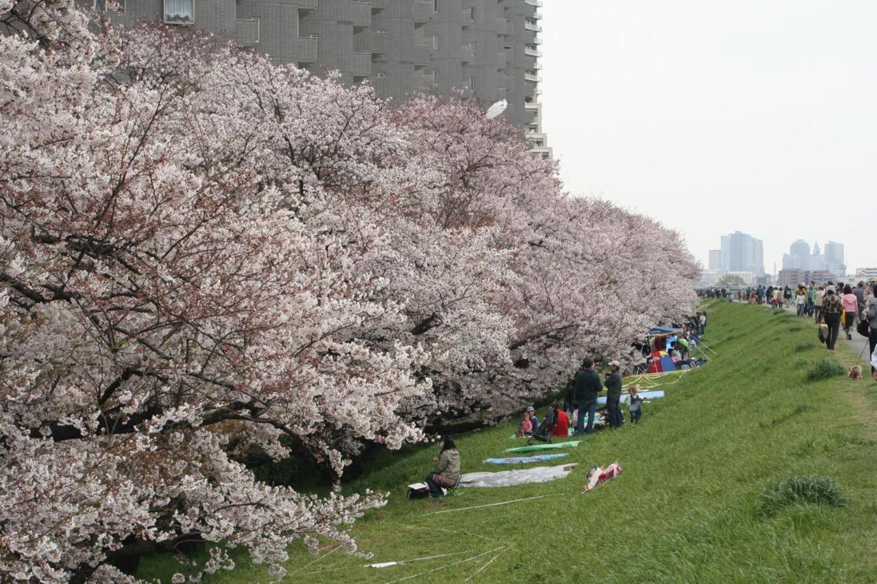 田園調布南ビル Apartamento